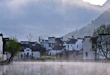 信阳红茶叶价格对比查询(信阳红茶叶价格对比查询表)